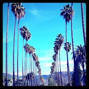 Meet your Posher, Adilene